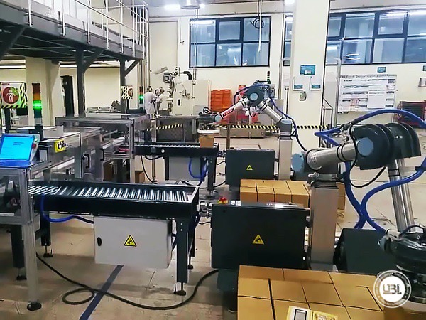 Photo #3 of New Palletizer ROBOT-ARM PALLETIZER