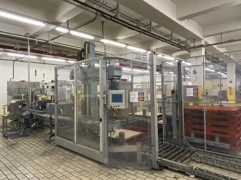 Photo #1 of Sidel Cermex Used Palletizer