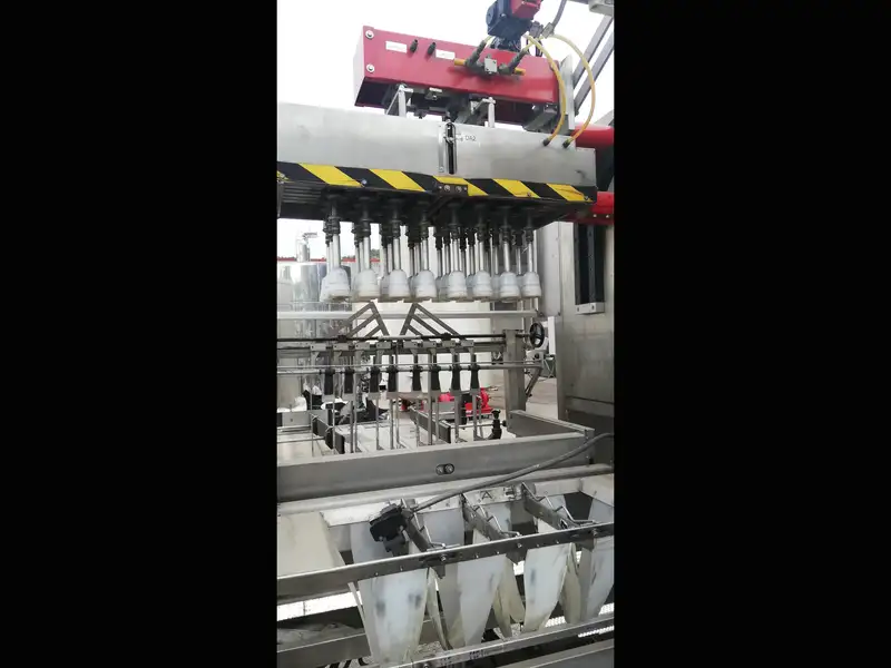 Photo #2 of Used Case Packer Ape Inca 2001