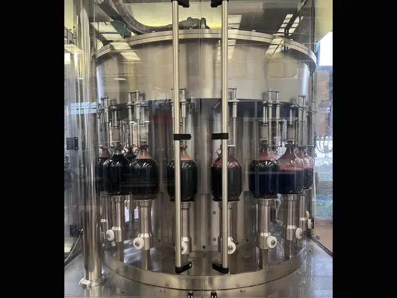 Photo #16 of Used Complete Line for PET and Glass 2007