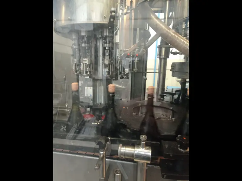 Photo #6 of Used filling line for sparkling wine PROCOMAC up to 6000 bph
