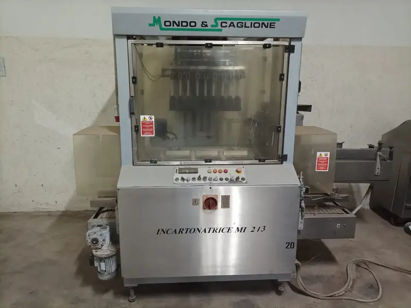 Photo #1 of Used Case Packer MONDO & SCAGLIONE MI 2/3 up to 10000 bph