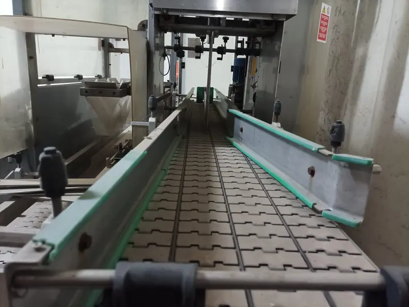 Photo #4 of Used Case Packer MONDO & SCAGLIONE MI 2/3 up to 10000 bph