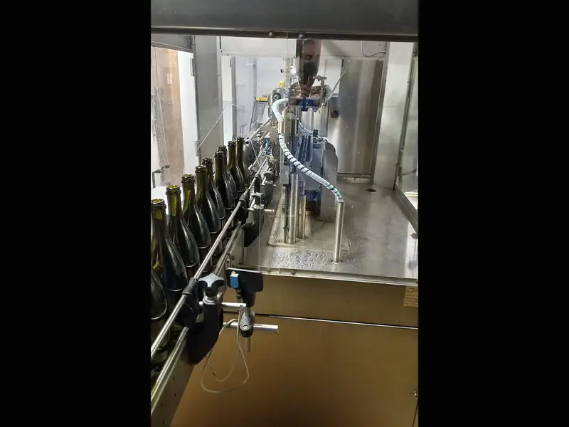 Photo #4 of Used Rinsing Machine Aesse Service LINE6 year 2018