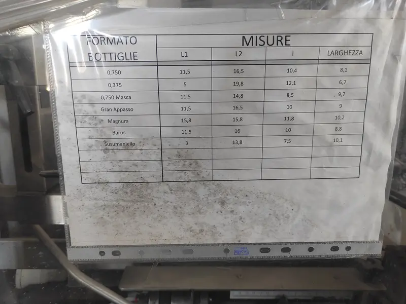 Photo #10 of Used case packer APE INCA 2000 year 2004