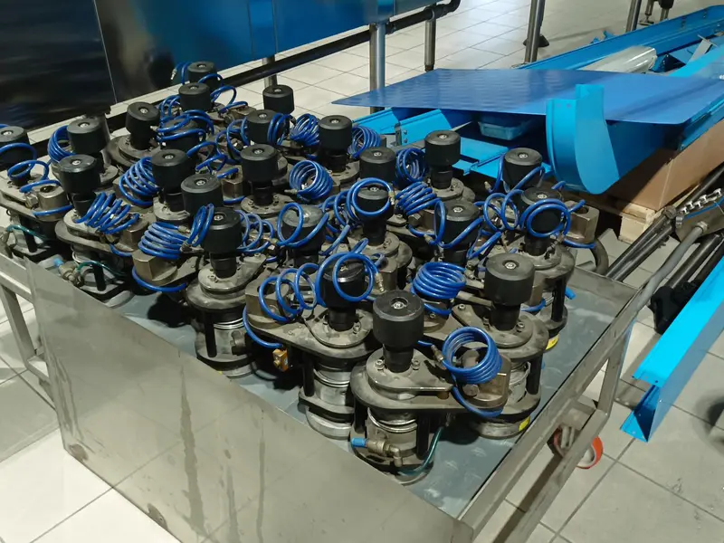 Photo #11 of Used capsuling machine Robino & Galandrino – champagne 12000 bph