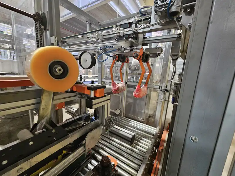 Photo #9 of Used Case Sealer ITAL PAL CSN70 1650 boxes/hour