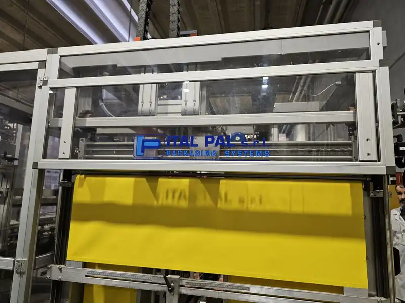 Photo #7 of Used Casepacking Monoblock ITAL PAL 1650 bph