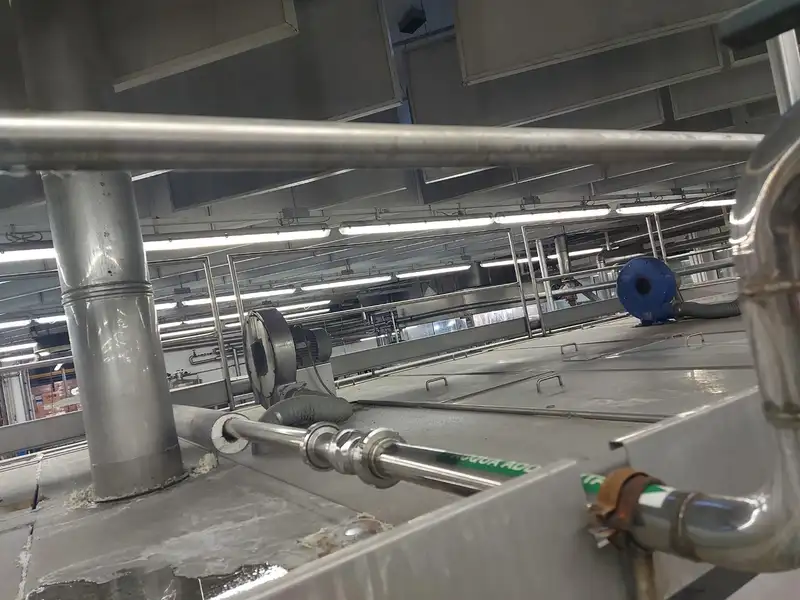 Photo #7 of Used Bottle Washer BARDI 6200 bph