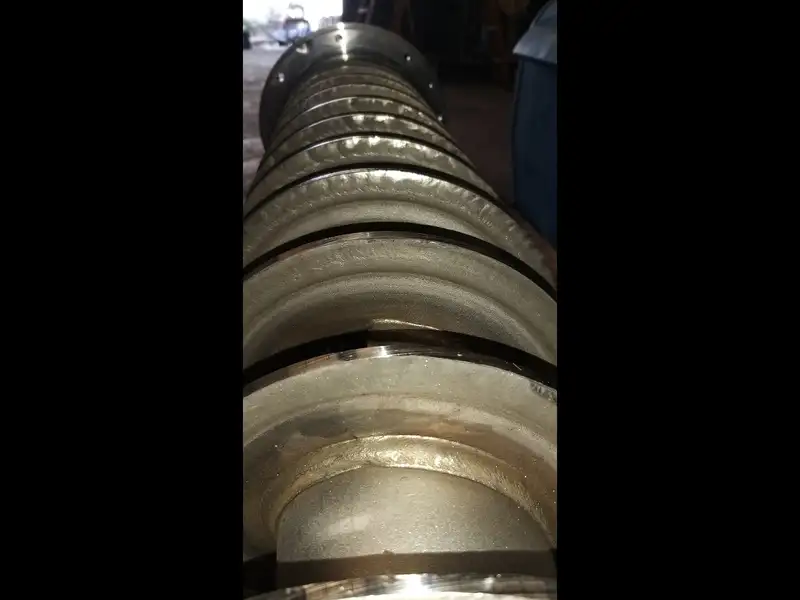 Photo #7 of Used Line for olive oil production PIERALISI 700 kg/h