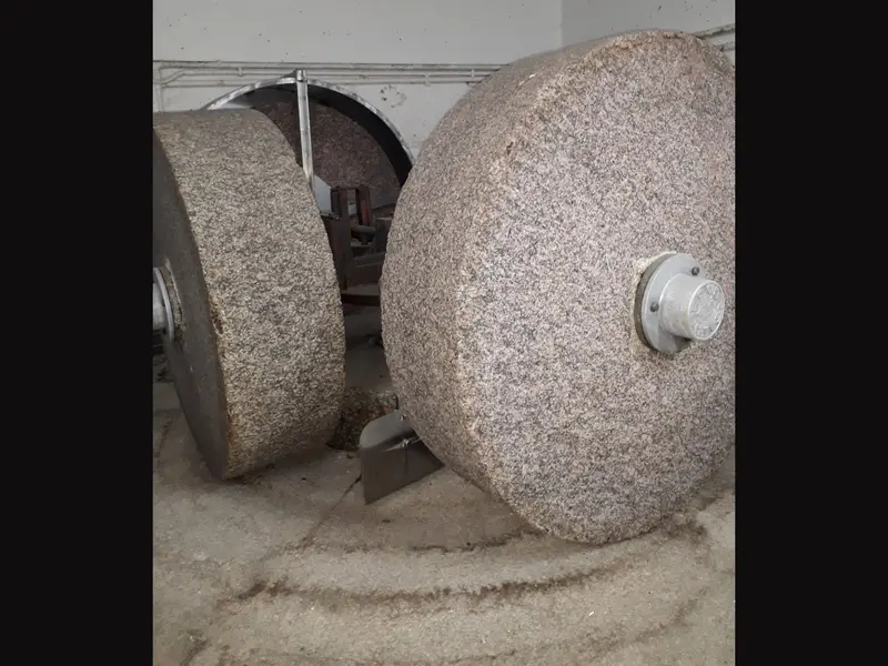 Photo #1 of Used olive oil processing line VITONE V3 3000 kg/hr