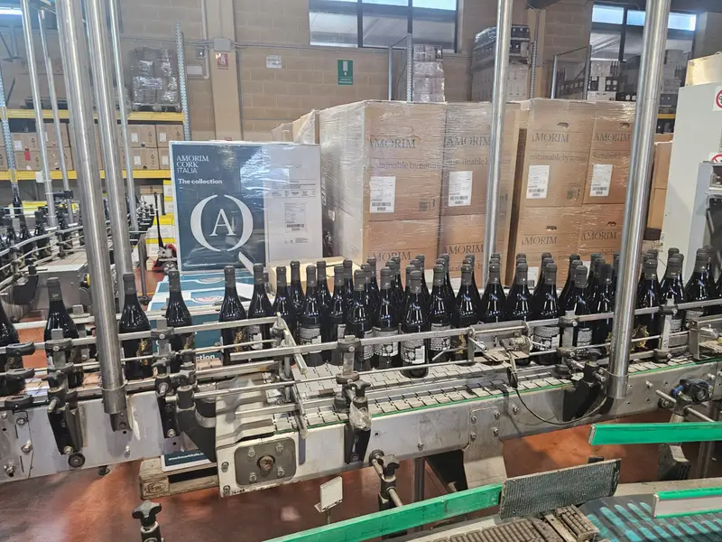 Photo #29 of Used Isobaric Complete Bottling Line for Still and Sparkling Wine up to 4500 bph